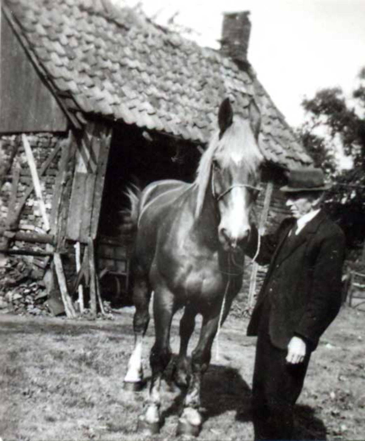 Anton Masling